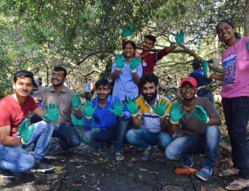 Yet another Mangrove Cleanup!