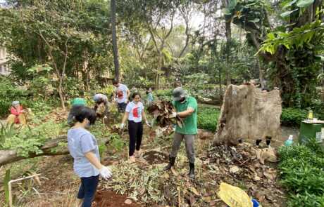 International Volunteering Day at Shantivan garden