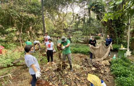 International Volunteering Day at Shantivan garden