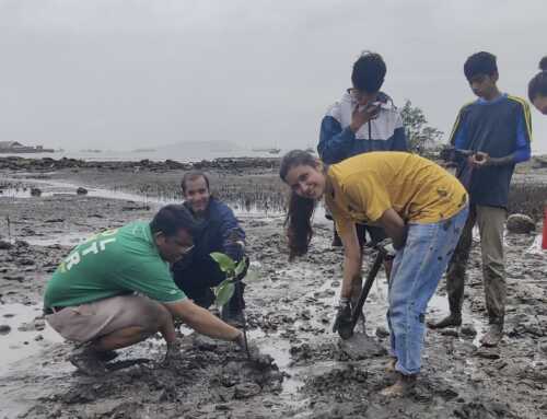 Get to Know Colaba’s Mangroves: Introductory Lecture & Inaugural Plantation