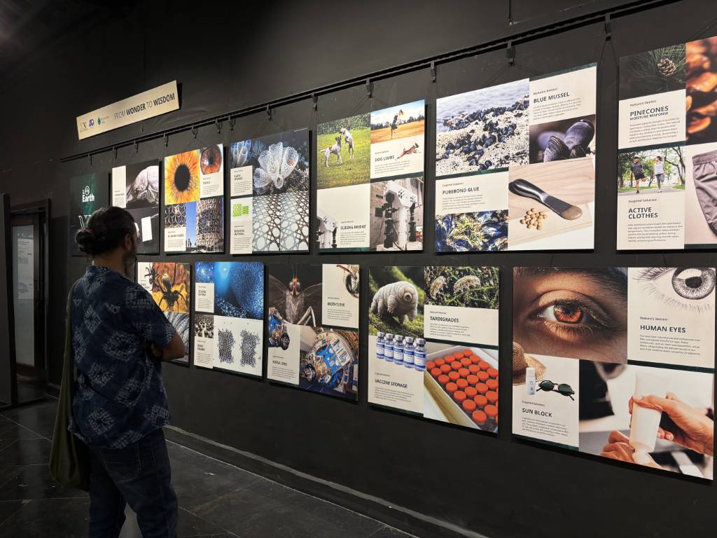 Exhibition horizontal 2 (Medium)